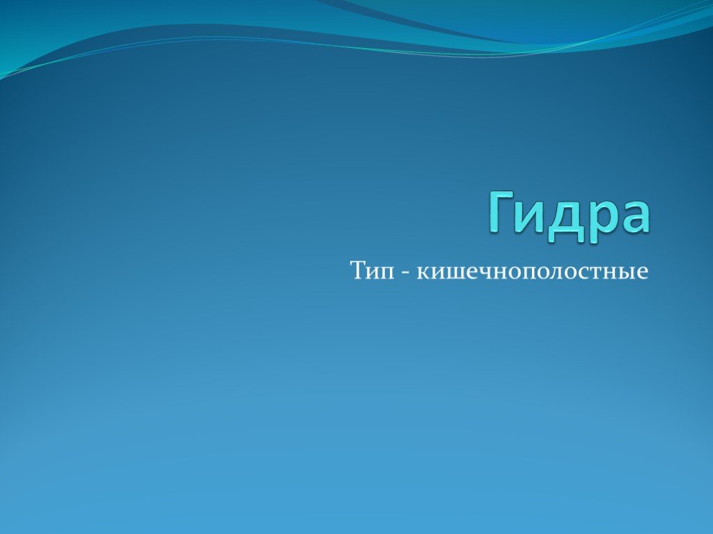 Кракен даркнет актуальная ссылка