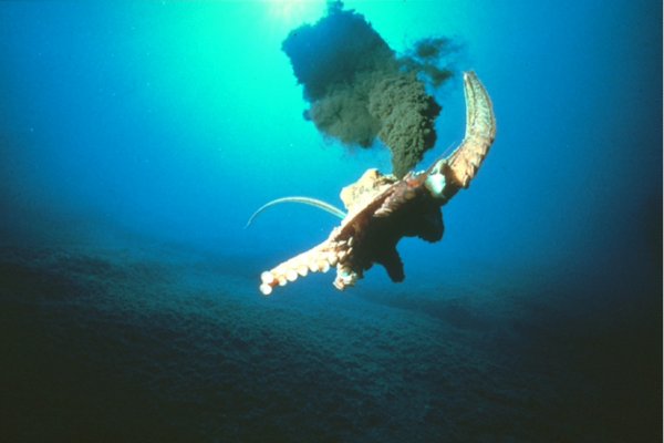 Кракен магазин kraken clear com